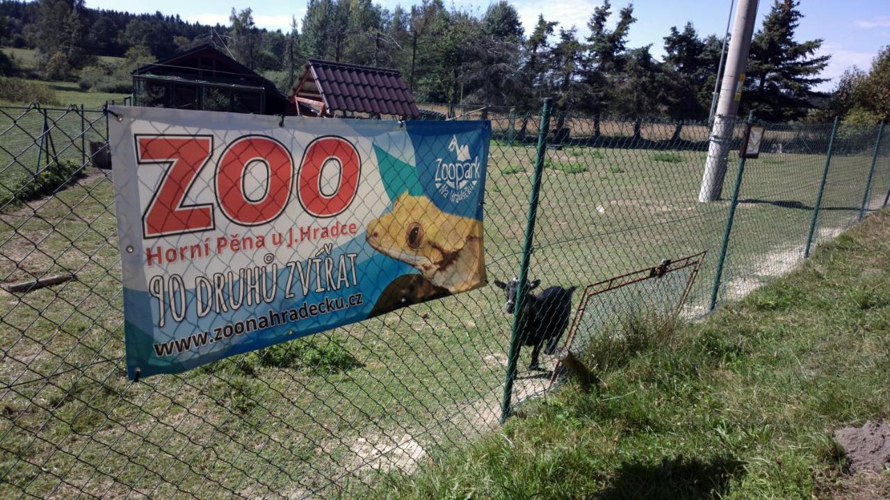 Penzion Lada Nová Bystřice Eksteriør billede
